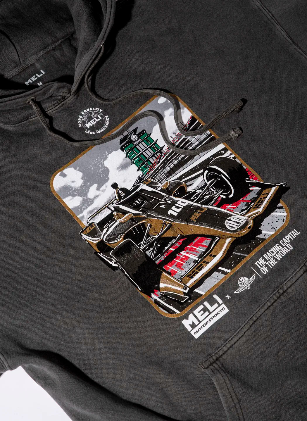 "100 DAYS" HOODIE